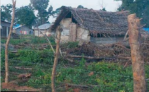 வன்னி போருக்கு பிந்தைய நான்கு ஆண்டுகள்