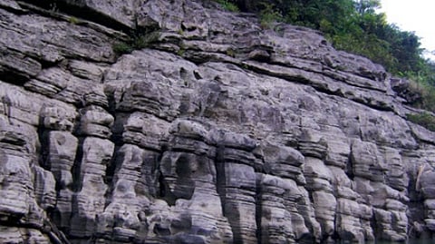 மாபெரும் புல்வெளி