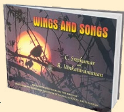 கண்கவர் பறவைகள்