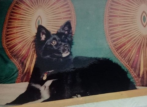 ப்ளூட்டோ முதல் ப்ளூட்டி வரை -07