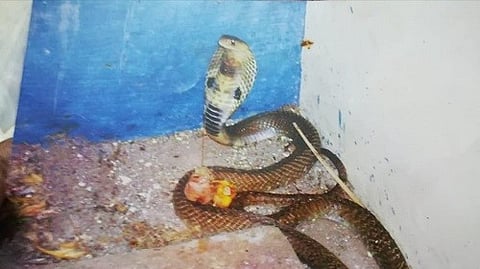 ப்ளூட்டோ முதல் ப்ளூட்டி வரை -04