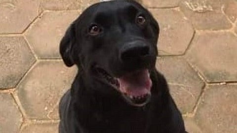 ப்ளூட்டோ முதல் ப்ளூட்டி வரை - 9