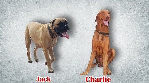 ப்ளூட்டோ முதல் ப்ளூட்டி வரை - 14