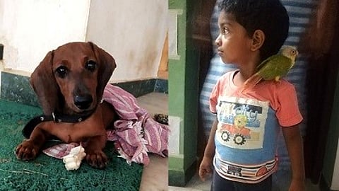 ப்ளூட்டோ முதல் ப்ளூட்டி வரை -03