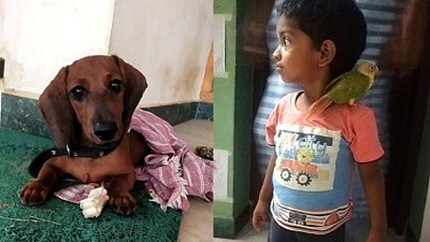 ப்ளூட்டோ முதல் ப்ளூட்டி வரை - 15