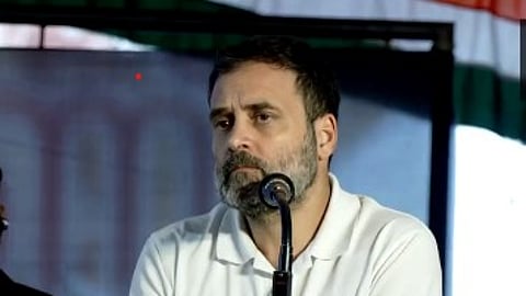 ராகுல் காந்தி, வயநாடு