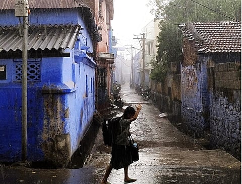 கோப்பகப் படம்