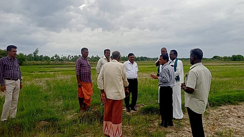 டெல்டா காய்ந்த நெல் வயல்கள்