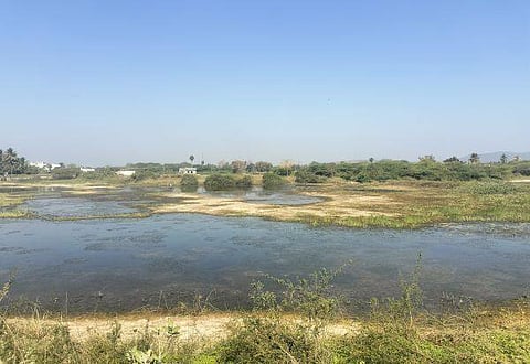 ஏரி - மாதிரிப் படம்