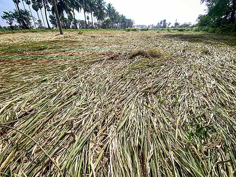கோப்புப் படம்