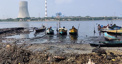 எண்ணெய்க் கசிவால் பாதிக்கப்பட்டுள்ள எண்ணூர் கழிமுகப் பகுதி