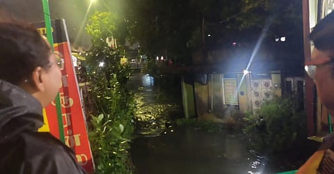 மழையில் பாம்பு புகுந்துவிட்டதா? இந்த 15 பேர் பட்டியல் உதவும் - சென்னை மாநகராட்சி!