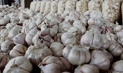 ‘கிலோ 500 ரூபாய்’ - வரலாறு காணாத அளவு பூண்டின் விலை உயர்வு!