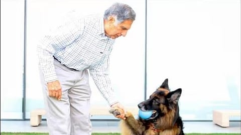 நனவான டாடாவின் செல்லக்கனவு!