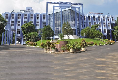 கால்நடை மருத்துவ அறிவியல் பல்கலைக்கழகம்