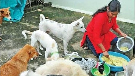 மாதிரிப் படம்