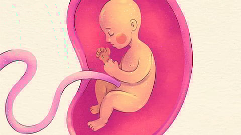 "தொப்புள் கொடியை வெட்டினேன்! "