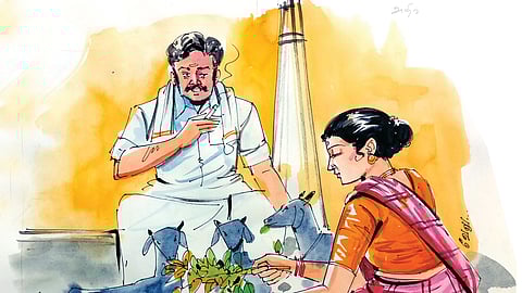 நாற்றாங்கால்