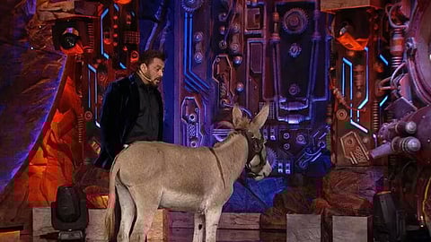 இந்திய பிக்பாஸில் கழுதை