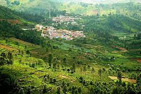 கோத்தகிரி