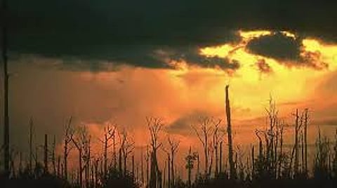 124 ஆண்டிகளில் இல்லாத வெப்பம்: வாட்டிய வெயிலுக்கு என்ன காரணம்?