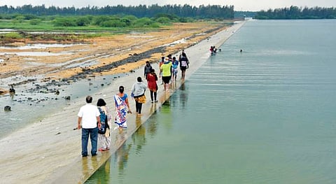 பாலாறும் நானும்