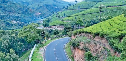 காங்கிரஸ் மாவட்டச் செயலாளர் மர்ம மரணம்!