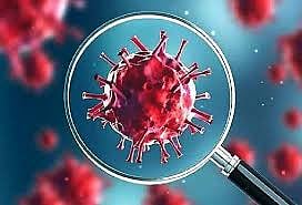 கொரோனா வைரஸ் (மாதிரிப்படம்)