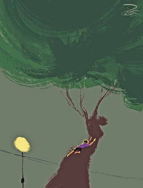 வெள்ளாப்பு