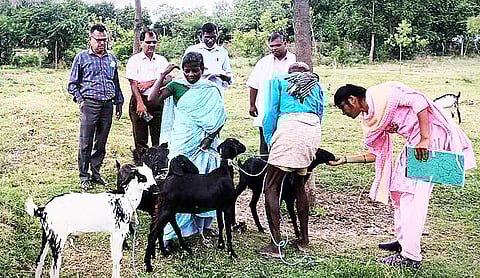 வழக்கு போட்டால் இடமாற்றமா?- கொதிக்கும் டாக்டர்கள்!