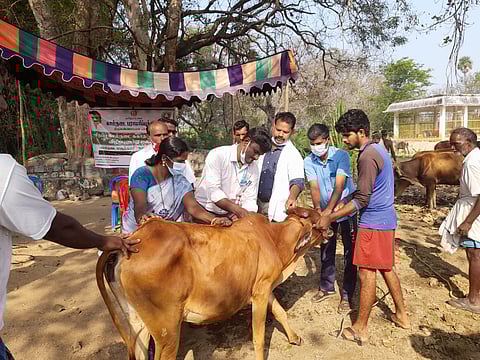 கால்நடை பராமரிப்புத்துறை இயக்குநர் திடீர் மாற்றம்! 
மருத்துவர்கள் போராட்டம் காரணமா?