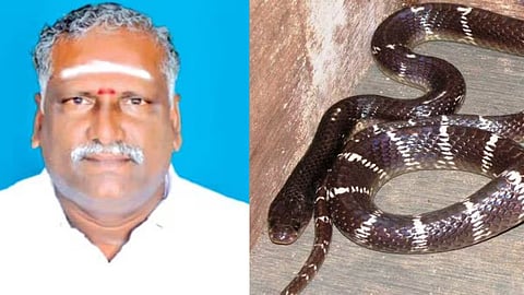 இரண்டு முறை பாம்பை ஏவி கடிக்க வைத்து தந்தை கொலை... அடப்பாவிகளா...!