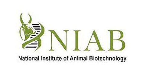নেছনেল ইনষ্টিটিউট অফ এনিমেল বায়'টেকনলজি নিযুক্তি ২০২০