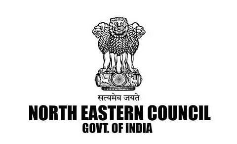 নৰ্থ ইষ্টাৰ্ণ কাউন্সিল নিযুক্তি ২০২০