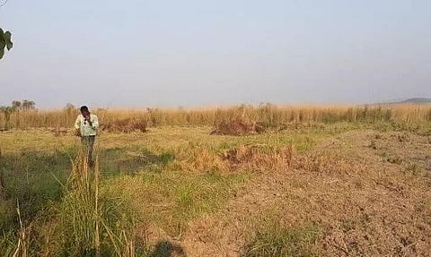 গুৱাহাটীত পুনৰ এক চাঞ্চ্যলকৰ ঘটনা : অচিনাক্ত মৃতদেহ উদ্ধাৰ নুনমাটিত