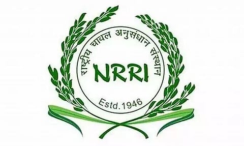ৰাষ্ট্ৰীয় চাউল গৱেষণা প্ৰতিষ্ঠান ((NRRI)-ত যুৱ পেচাদাৰীৰ পদ খালী