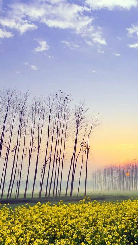 ভাৰতৰ কিছু গন্তব্যস্থান য'ত ২০২২ চনত ভ্ৰমণ কৰিব পাৰিব আপুনি