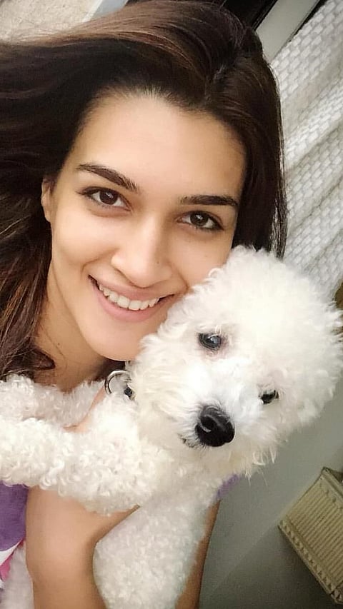 বলীউডৰ শীৰ্ষ ১০ গৰাকী তাৰকাৰ আটাইতকৈ আকৰ্ষণীয় পোহনীয়া জন্তু