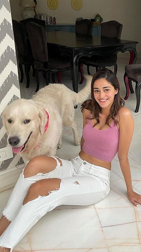 বলীউডৰ তাৰকা যি সম্পূৰ্ণ কুকুৰ প্ৰেমী