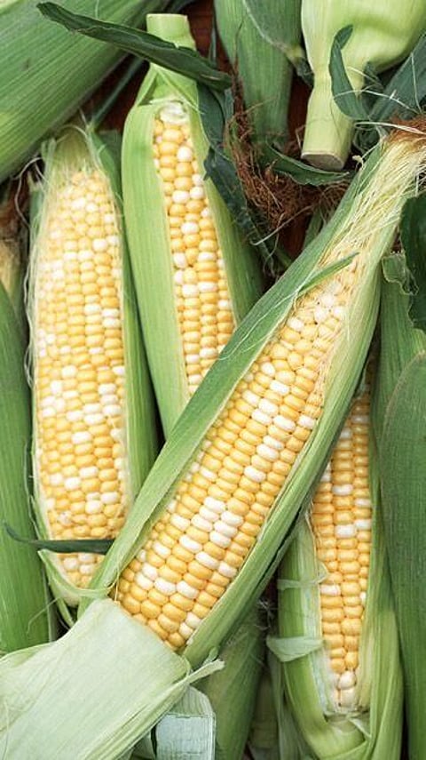 ইউক্ৰেইনৰ যুদ্ধৰ ফলত ভাৰতত অধিক ব্যয়বহুল হোৱা ৭ টা বস্তু