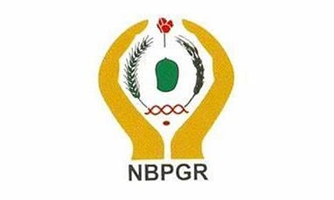 এন.বি.জি.আৰ. নিযুক্তি ২০২২ - জুনিয়ৰ ৰিচাৰ্চ ফেলোৰ খালী পদ