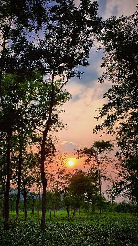 উত্তৰ-পূব ভাৰতৰ বিষয়ে শীৰ্ষ ১৫ টা আশ্চৰ্যজনক তথ্য