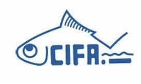 চি.আই.এফ.এ নিযুক্তি ২০২২ - যুৱ পেছাদাৰী খালী পদ