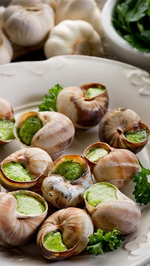 ভাৰতীয় লোকে পৰিবেশন কৰা ১০টা অদ্ভূত আৰু উদ্ভট খাদ্য সামগ্ৰী