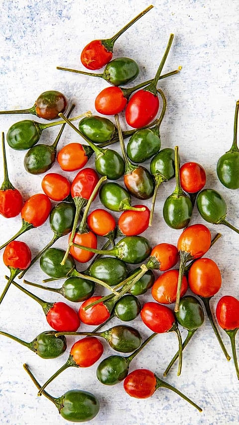 ১২ প্ৰকাৰৰ ভাৰতীয় জলকীয়া যাৰ সোৱাদৰ কোনো তুলনা নাই