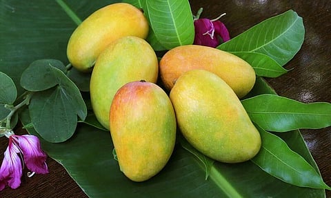 গুৱাহাটী: এম.এল.এ. বাসভৱনৰ পৰা আম চুৰি কৰাৰ বাবে আটক এজন