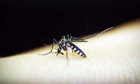 অসমঃ ৯০ জন জাপানীজ এনকেফেলাইটিছৰ দ্বাৰা সংক্ৰমিত, ১০ জনৰ মৃত্যু