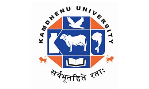 কামধেনু বিশ্ববিদ্যালয় নিযুক্তি ২০২২ - জ্যেষ্ঠ গৱেষণা ফেলোৰ খালী পদ