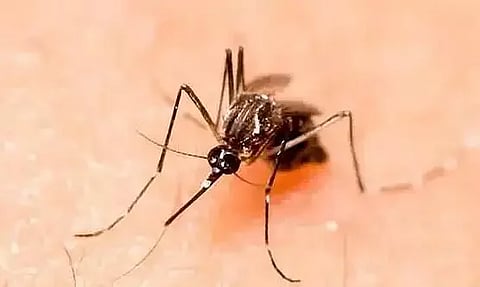 অসমত জাপানীজ এনকেফেলাইটিছত আৰু কমেও চাৰিজন লোকৰ মৃত্যু,মৃত্যুৰ সংখ্যা ৫২ লৈ বৃদ্ধি