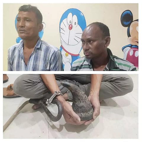 অসমঃ বোকাখাত নগৰৰ পৰা আৰক্ষীয়ে উদ্ধাৰ গঁড়ৰ খৰ্গ, দুজনক গ্ৰেপ্তাৰ